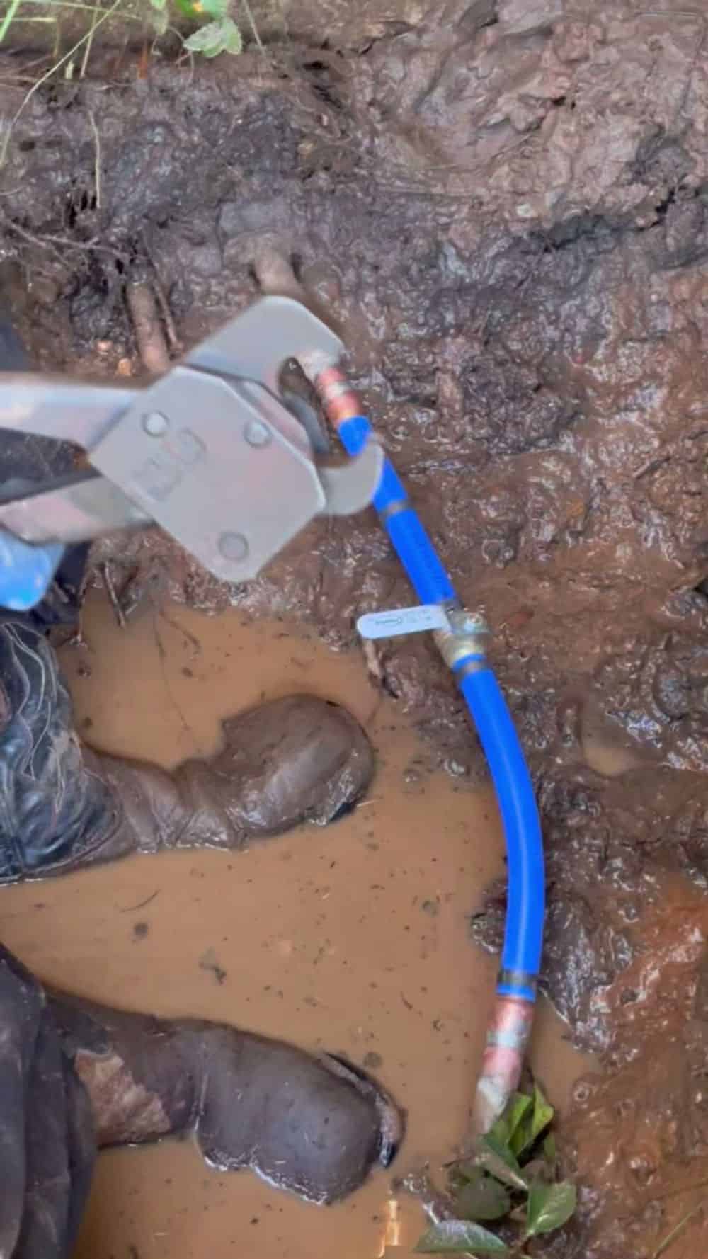 Water Leak Detection and Testing image