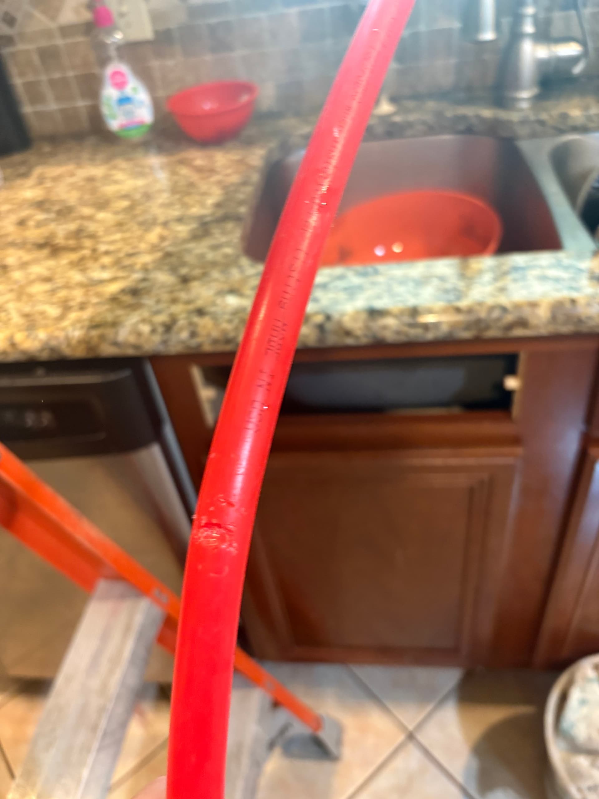 A Mouse Chewed Through This Water Line and Caused a Major Leak image