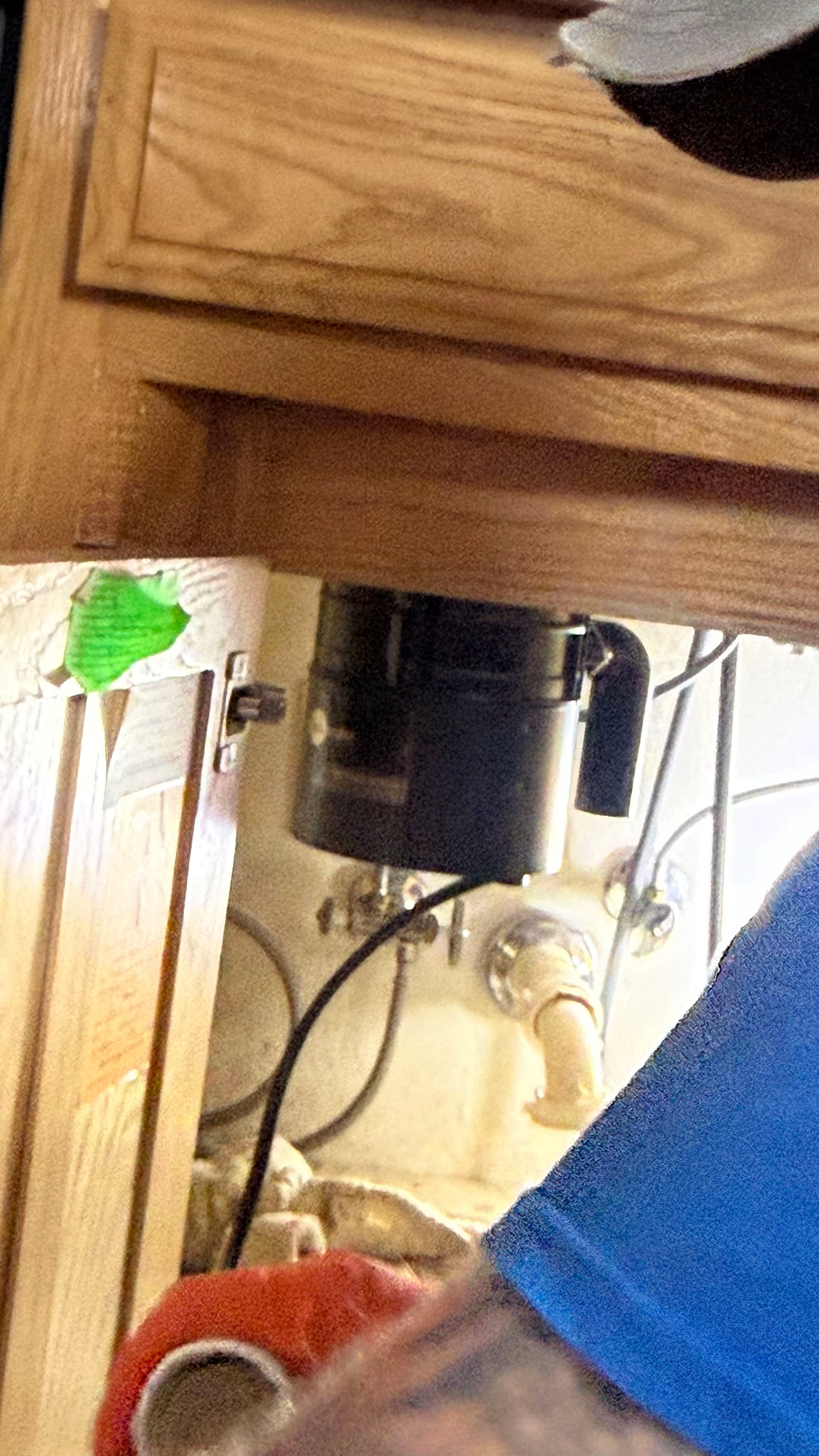 Leaking Garbage Disposal Replaced and Under-Sink Plumbing Fixed image