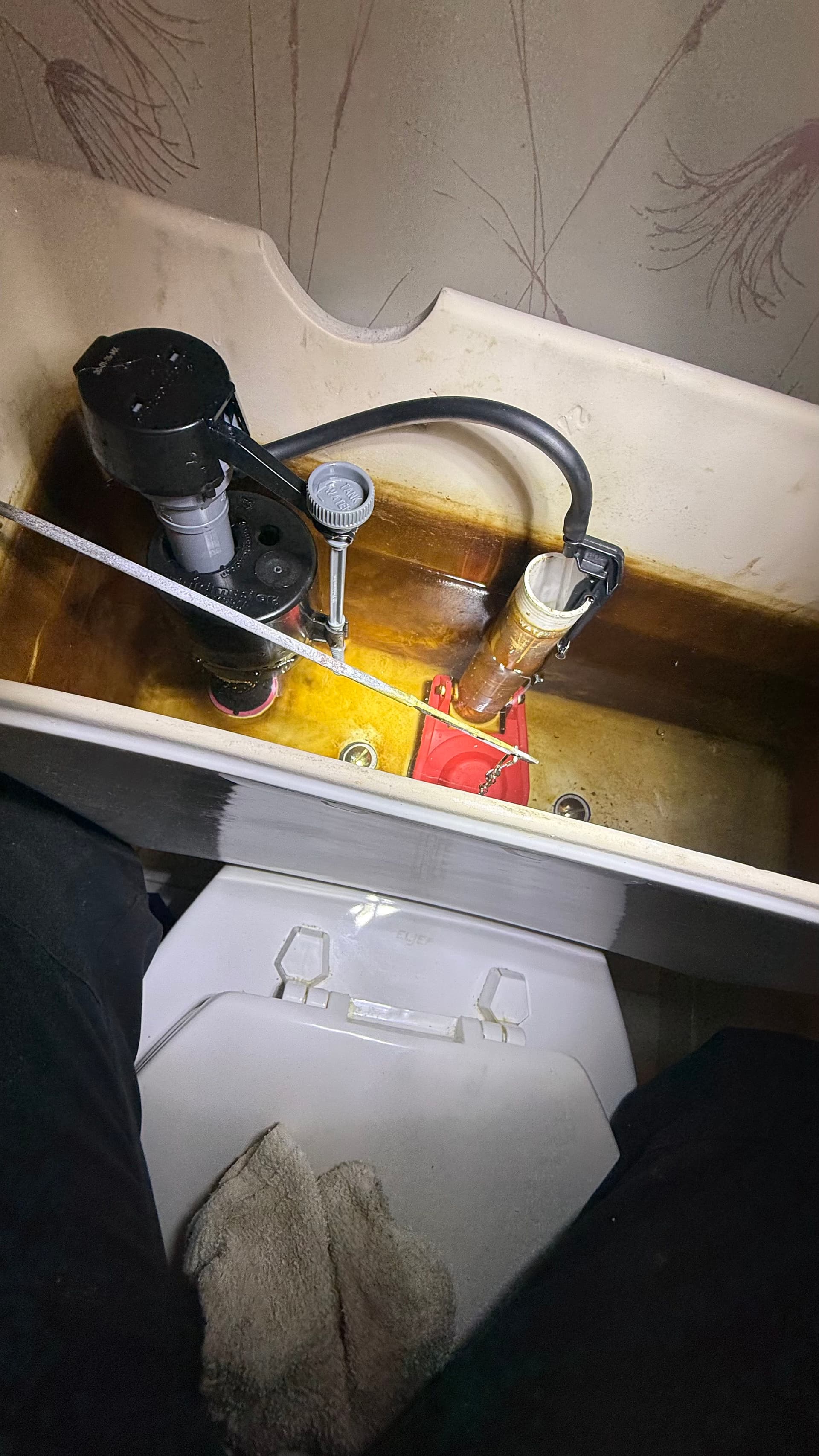 Gallery photos for Toilet Tank Rebuild Fixes Weak Flush in Bedford TX: Image #1