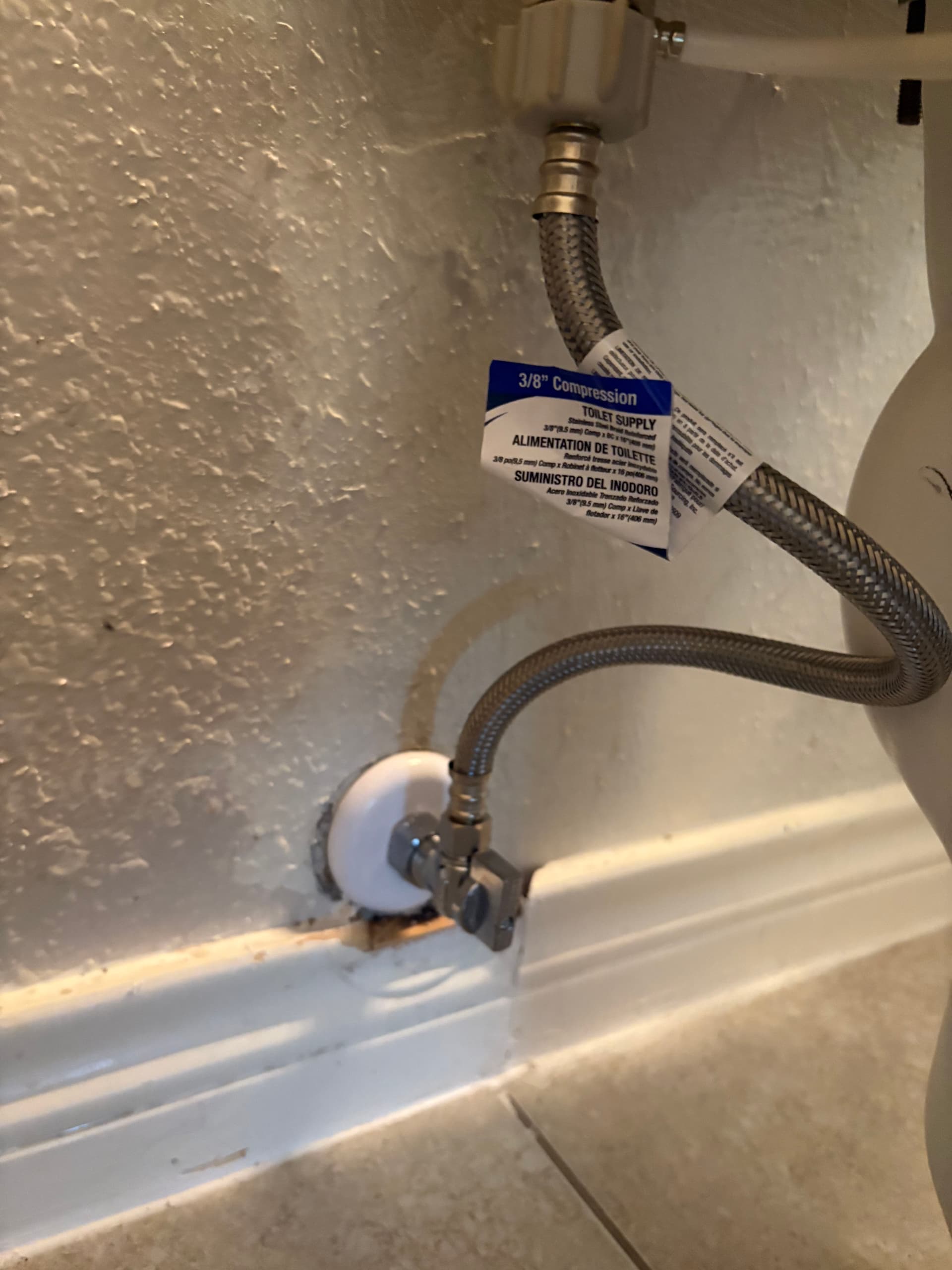 Leaking Toilet Shut-Off and Supply Line Fixed in Keller image