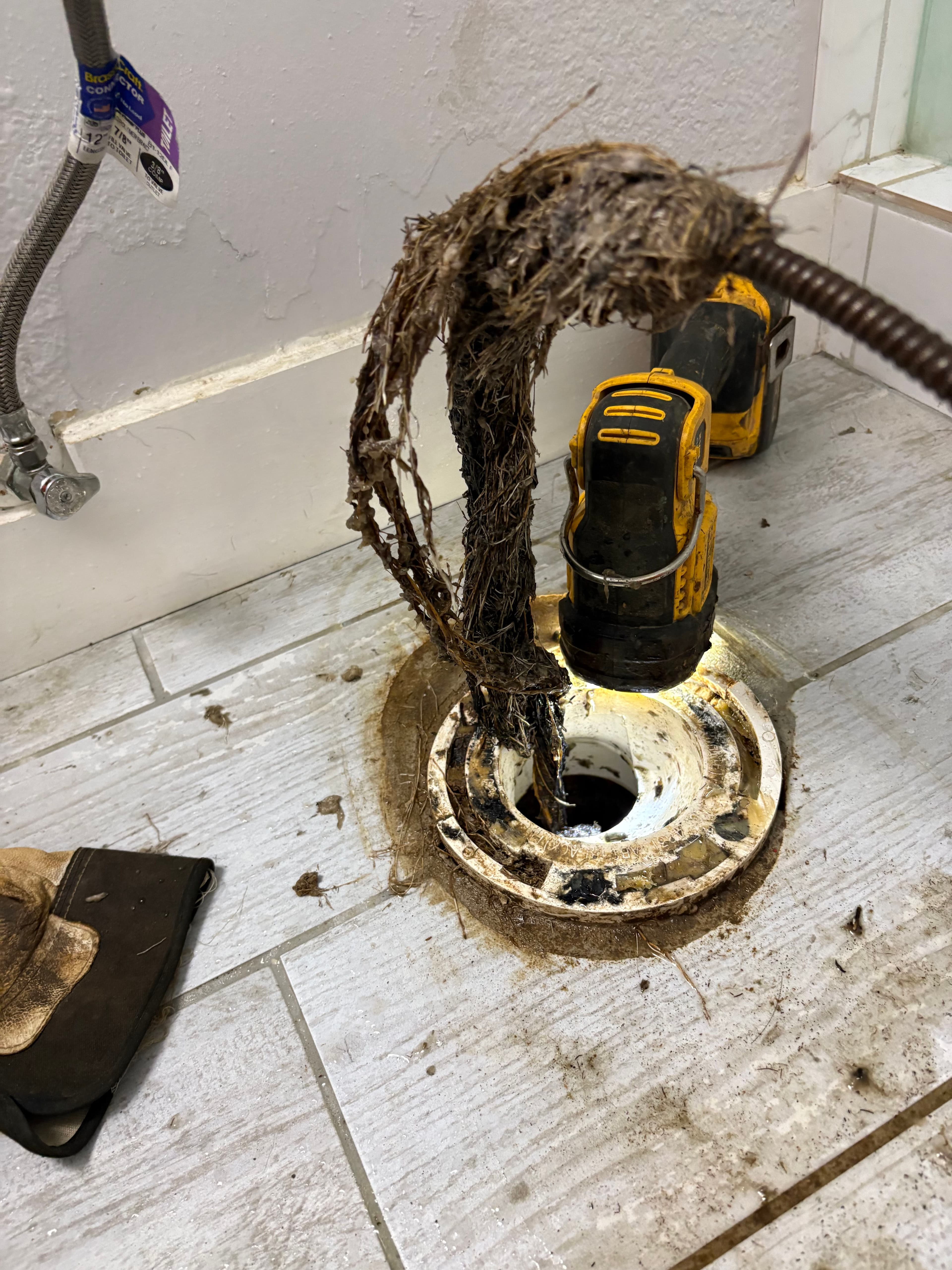 Project Tree Roots in the Drain Line Were the Real Problem image