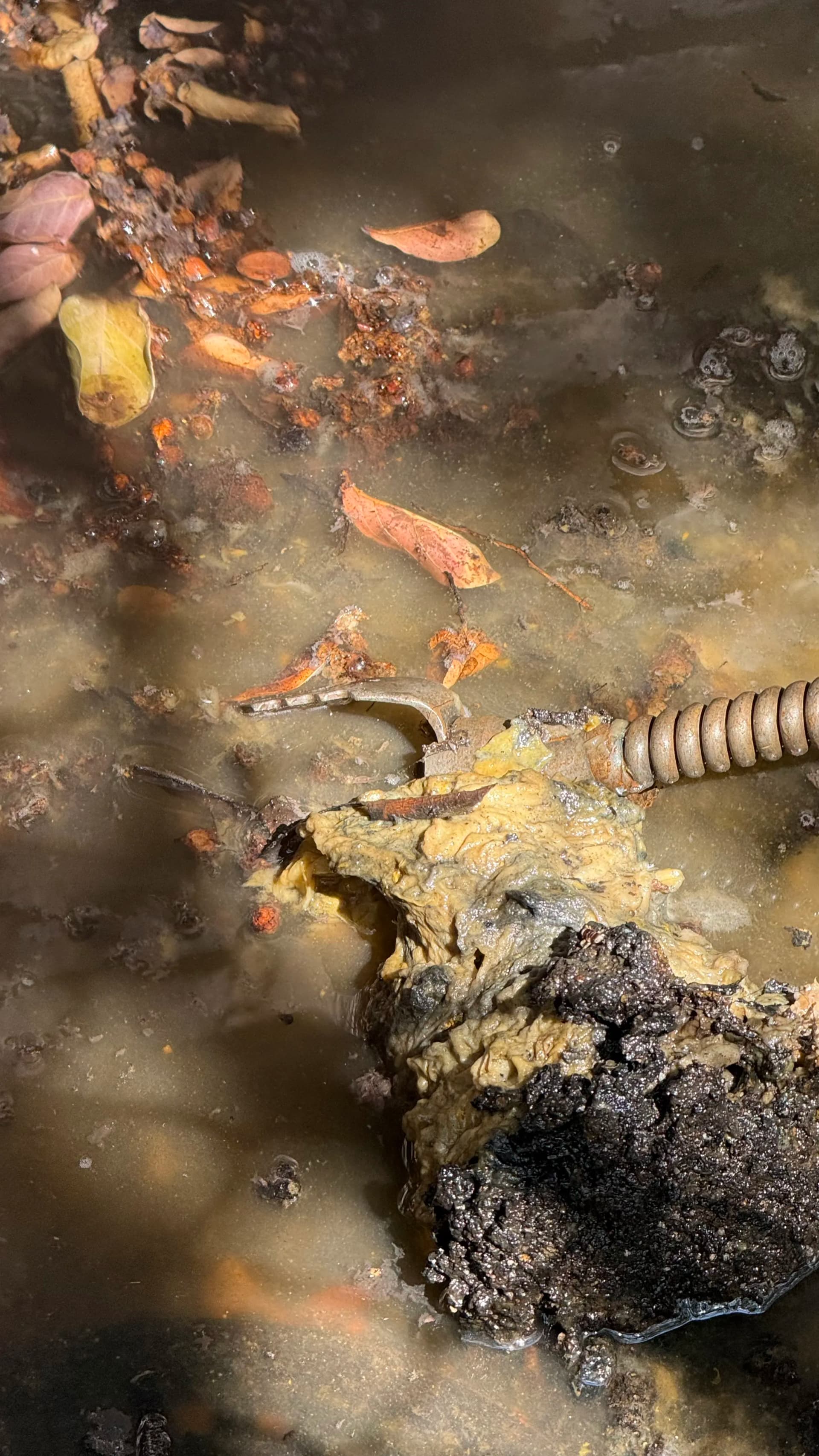 Major Sewer Drain Blockage Cleared in Euless image