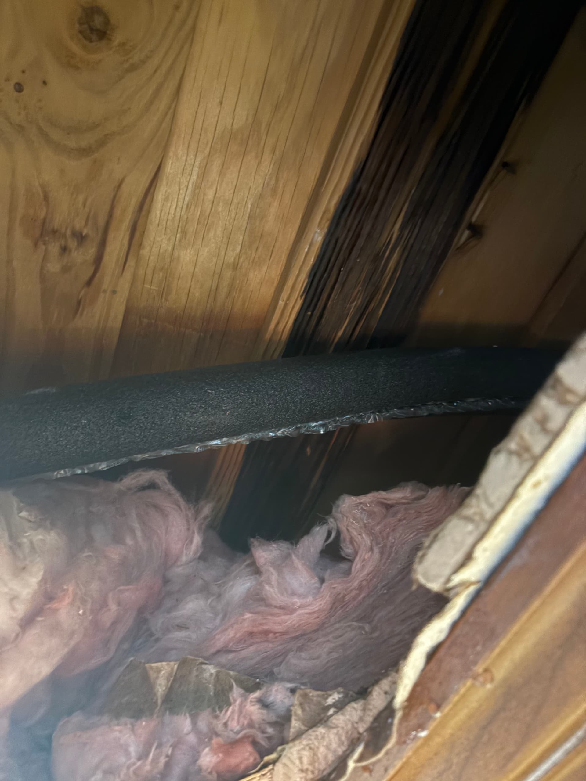 Gallery photos for A Mouse Chewed Through This Water Line and Caused a Major Leak: Image #1