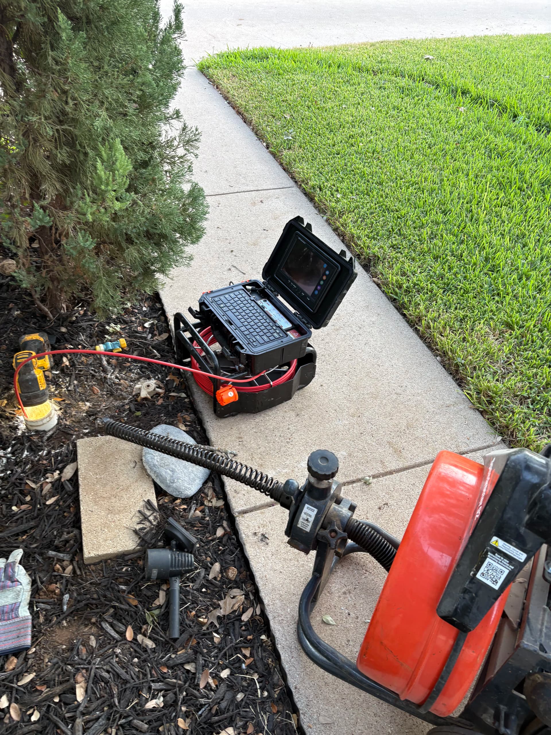 Clogged Main Sewer Line With Roots Growing In image