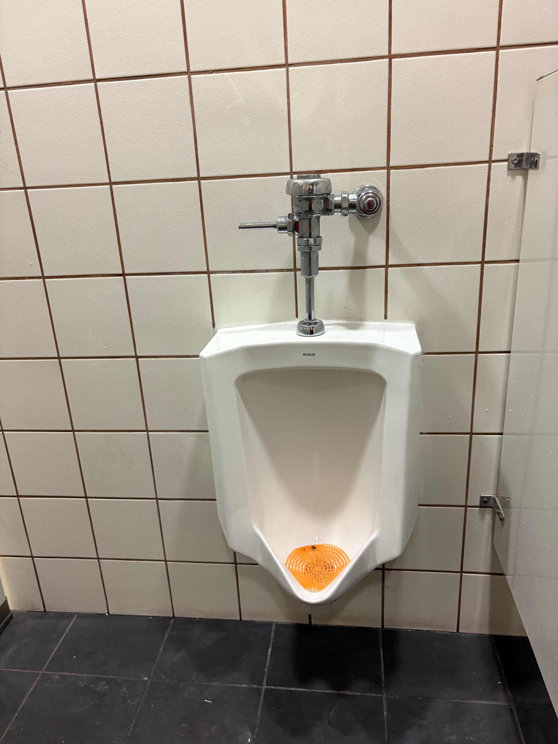 Gallery photos for Clogged Urinal and Faulty Flush Valve Fixed for Local Business: Image #1