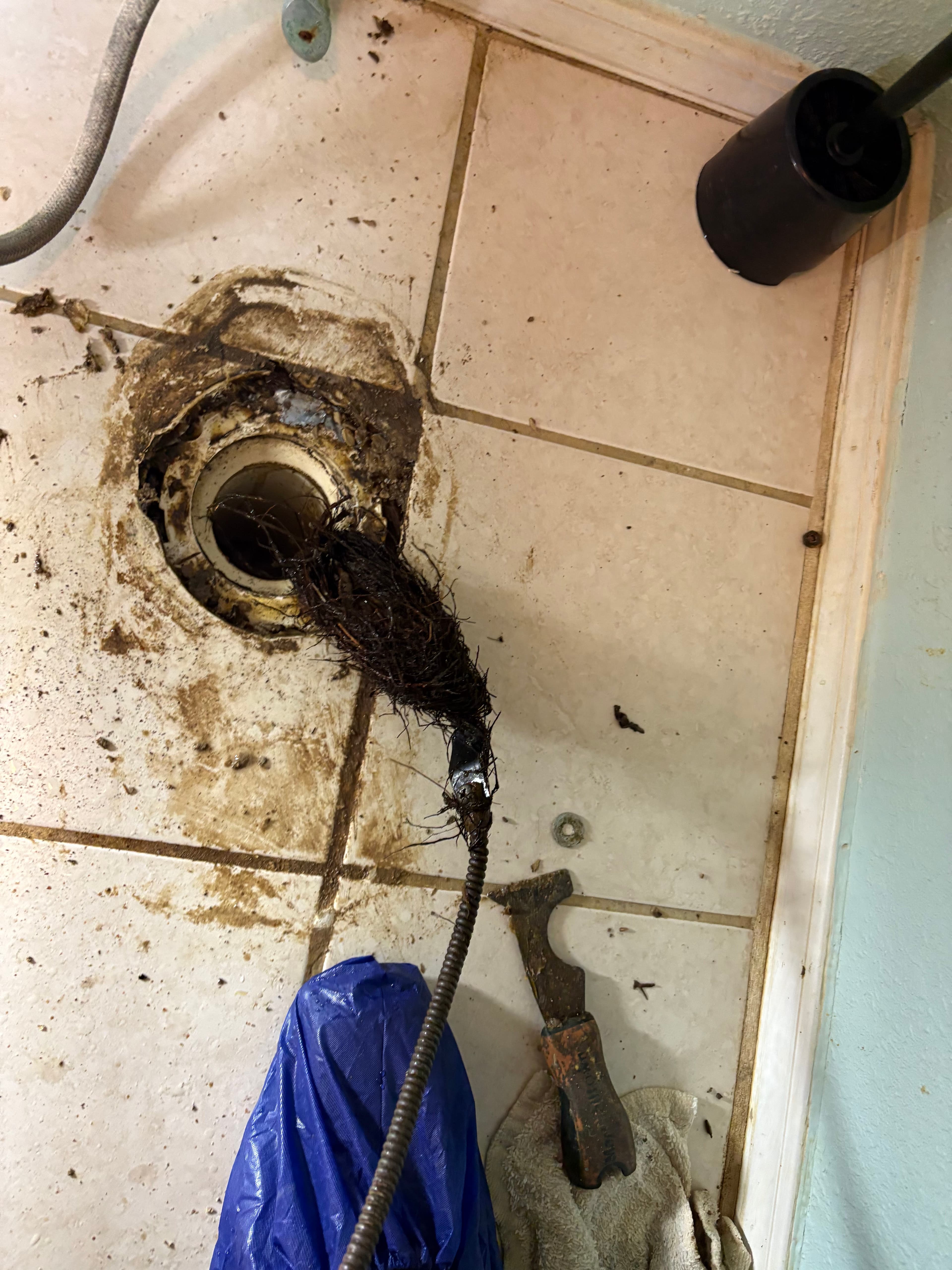Project Toilet Keeps Clogging? It Might Be More Than a Simple Backup image