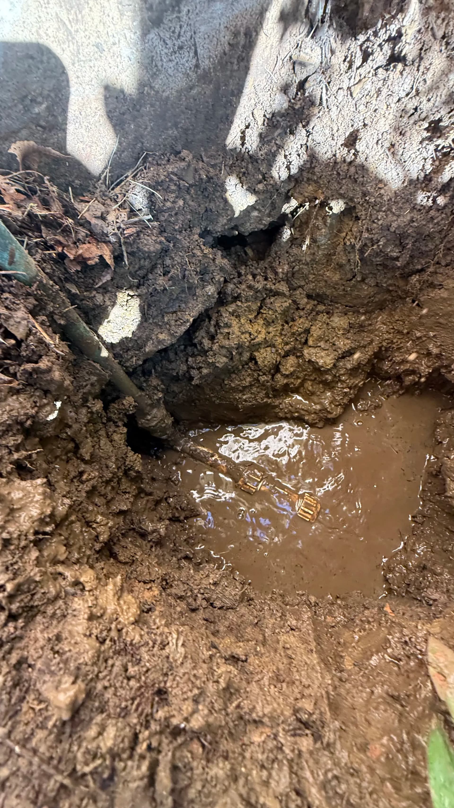 Gallery photos for Main Water Service Repair in Keller That Couldn't Wait: Image #1