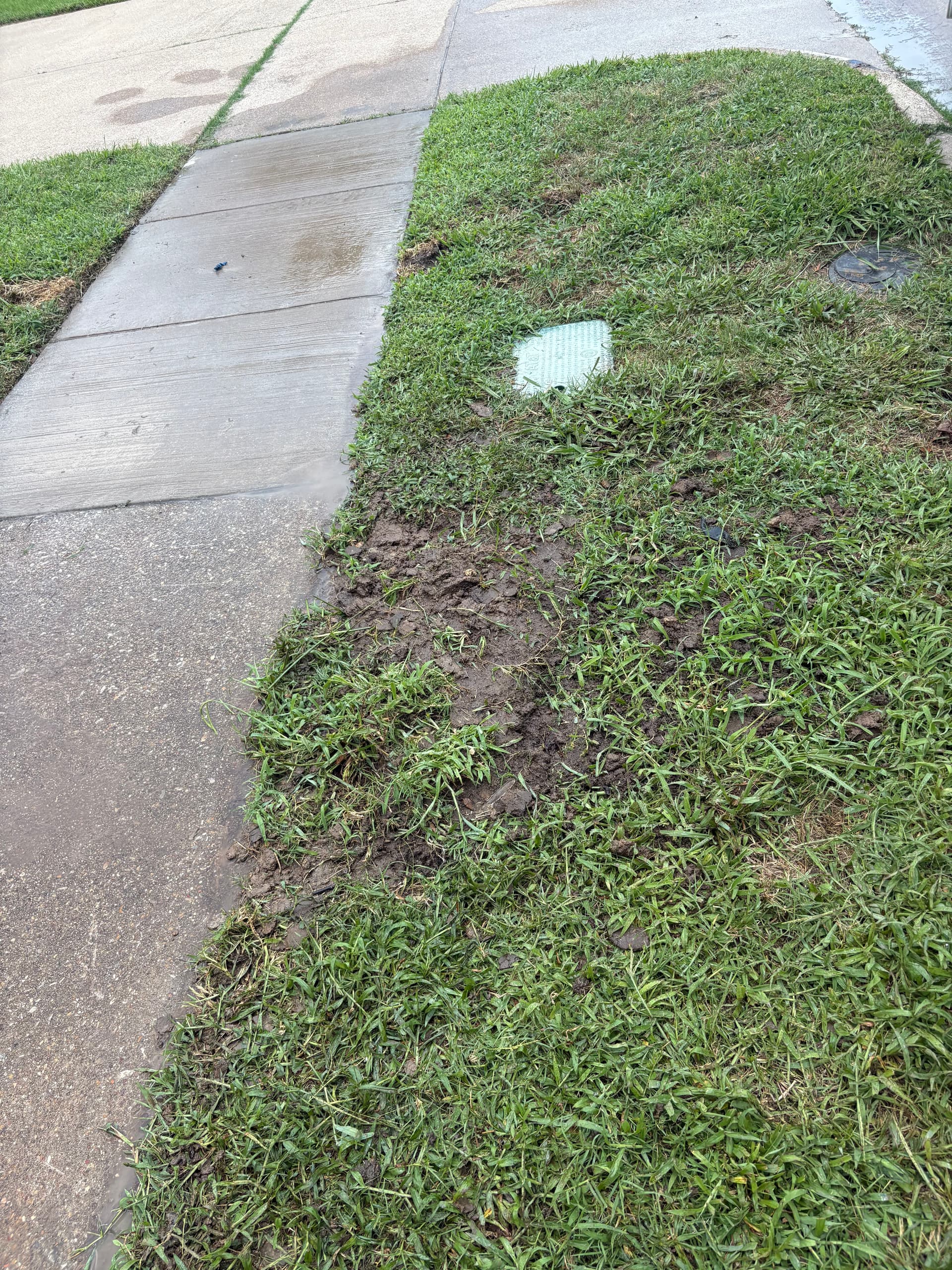 Broken Water Service Line Repair Under the Sidewalk in Grand Prairie image