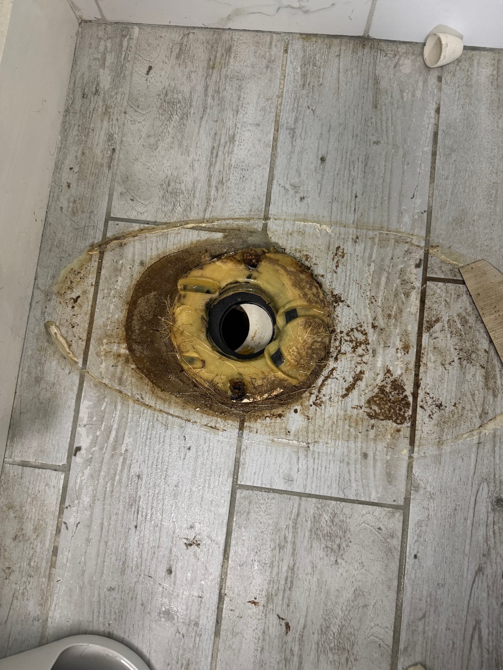 Gallery photos for Tree Roots in the Drain Line Were the Real Problem: Image #2
