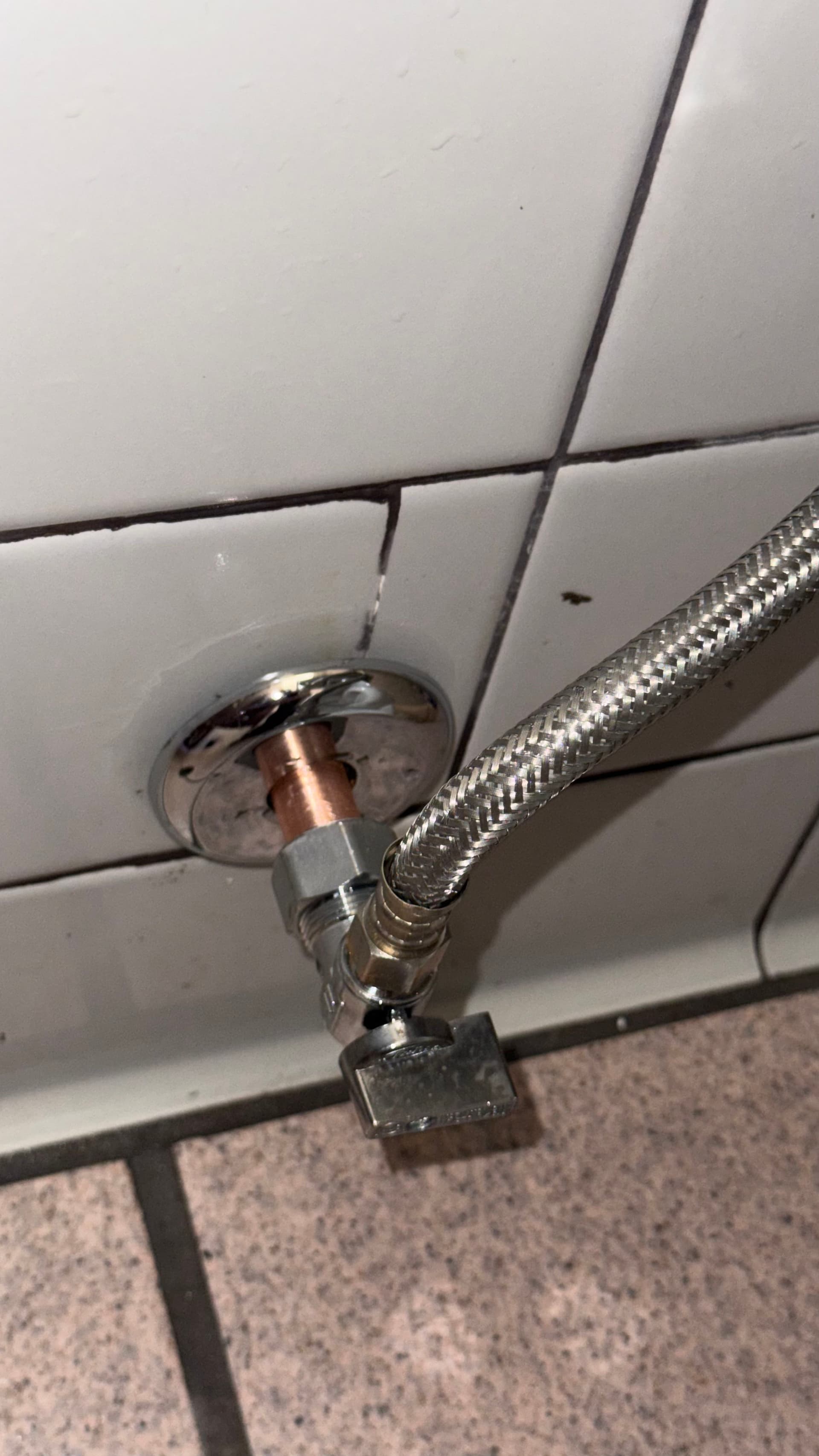 Gallery photos for Toilet Shut-Off Valve and Supply Line Replacement in Bedford: Image #1