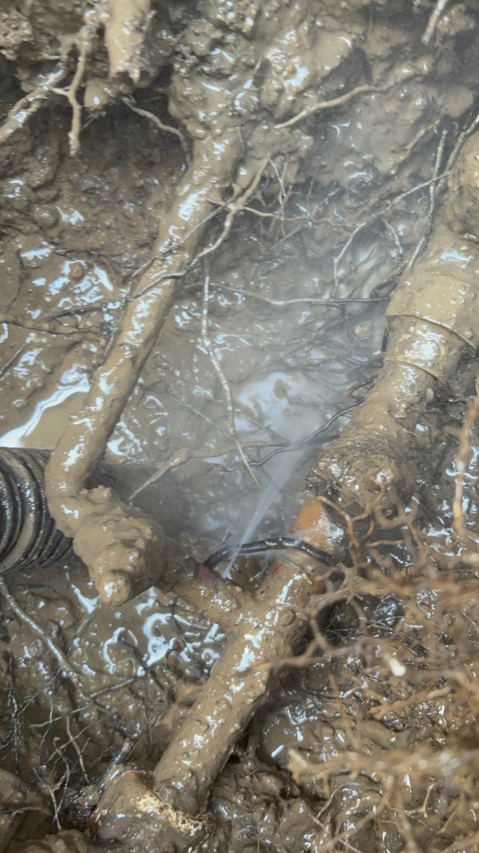 Gallery photos for Emergency Yard Line Water Leak Repair in Colleyville: Image #1